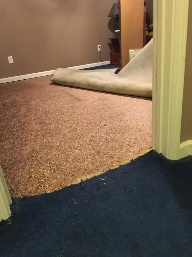 Carpet pad removal revealing water damage during Water Mitigation Services in Braselton
