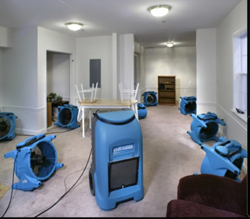 Air movers and dehumidifier setup for Water Extraction & Removal in Braselton